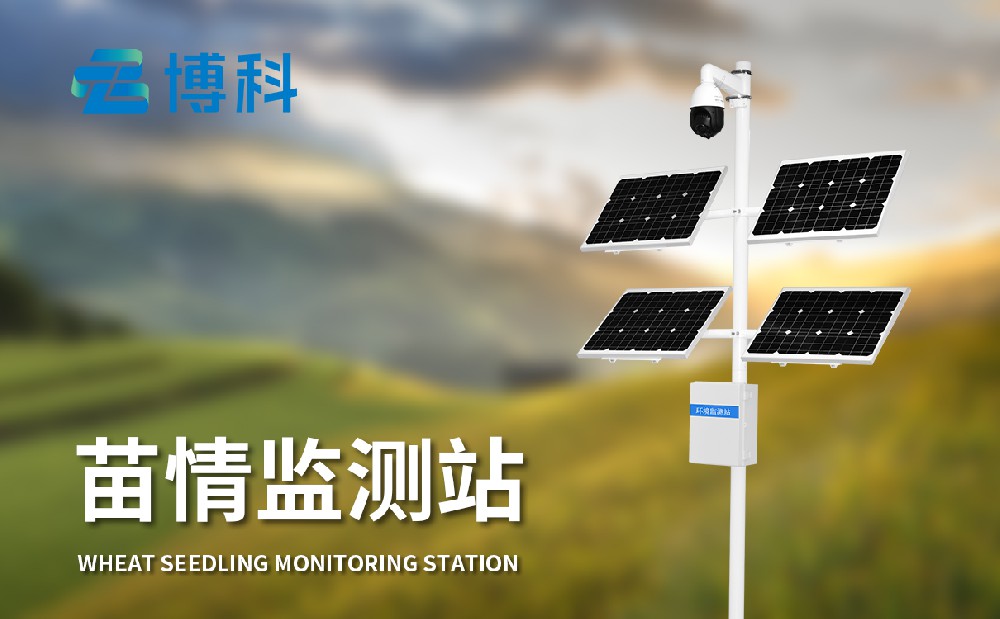 1714376175412074.jpg 4.jpg