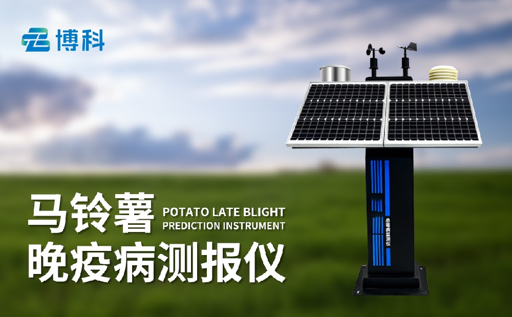 馬鈴薯晚疫病監測儀提升馬鈴薯病害治理能力