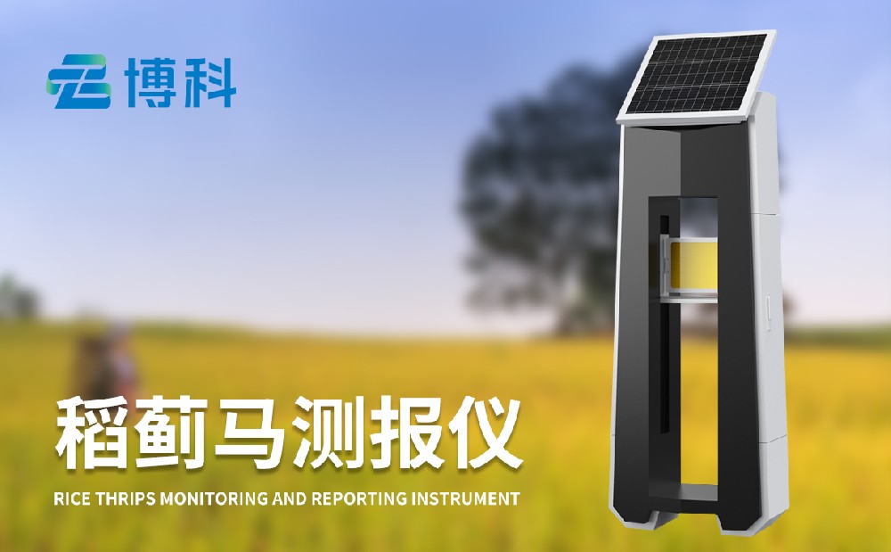 稻薊馬病監(jiān)測(cè)系統(tǒng)讓水稻病蟲害治理變得簡(jiǎn)單